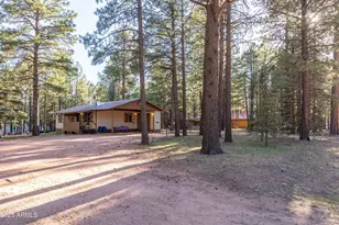 2190 Old Rim Rd, Forest Lakes, AZ 85931 - Photo 40