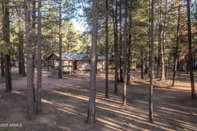 2190 Old Rim Road, Forest Lakes, AZ 85931 - Photo 36