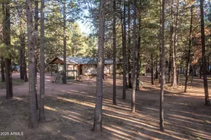 2190 Old Rim Rd, Forest Lakes, AZ 85931 - Photo 36