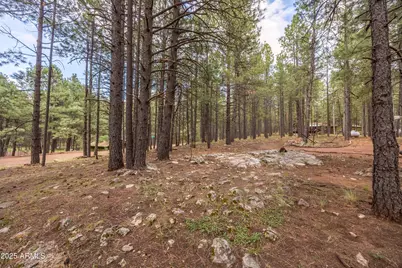 1643 Rifle Way, Forest Lakes, AZ 85931 - Photo 38