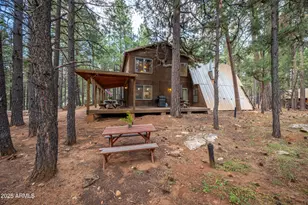 1643 Rifle Way, Forest Lakes, AZ 85931 - Photo 26