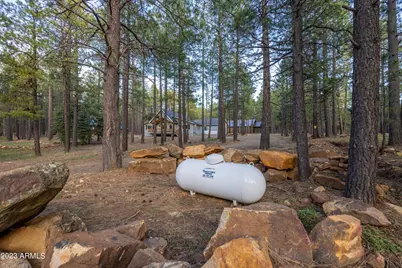 2772 Larson Loop, Forest Lakes, AZ 85931 - Photo 64