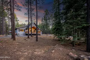 2772 Larson Loop, Forest Lakes, AZ 85931 - Photo 2