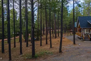 2772 Larson Loop, Forest Lakes, AZ 85931 - Photo 58
