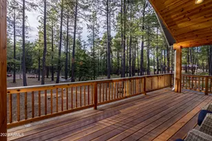 2772 Larson Loop, Forest Lakes, AZ 85931 - Photo 52