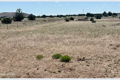 Tbd Windsor Valley Ranch Lot 135 -- #135, Concho, AZ 85924 - Photo 4