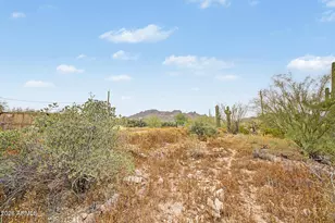 1065 W Whiteley St, Apache Junction, AZ 85120 - Photo 82