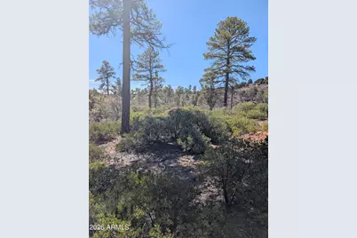 958 Navajo Trail #435, Show Low, AZ 85901 - Photo 2