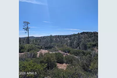 958 Navajo Trail #435, Show Low, AZ 85901 - Photo 16