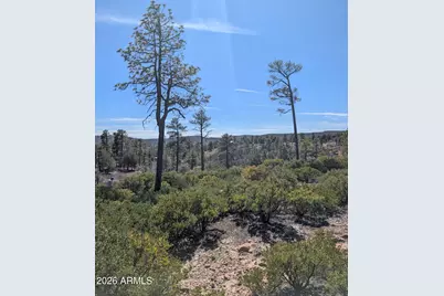 958 Navajo Trail #435, Show Low, AZ 85901 - Photo 12