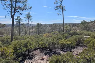 958 Navajo Trail, Show Low, AZ 85901 - Photo 1