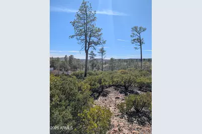 958 Navajo Trail #435, Show Low, AZ 85901 - Photo 10