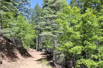 3500 E Sheldon Road #1, Prescott, AZ 86303 - Photo 6