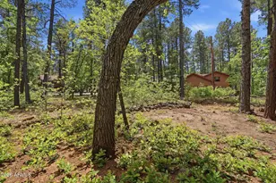 3829 Turkey Track Rd, Pinetop, AZ 85935 - Photo 34