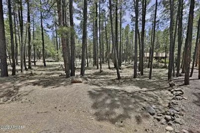 2682 Brahma Circle #-, Pinetop, AZ 85935 - Photo 1