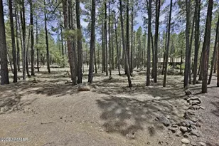 2682 Brahma Cir, Pinetop, AZ 85935 - Photo 1