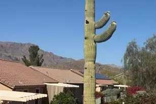 9526 E Obsidian Ct, Gold Canyon, AZ 85118 - Photo 2