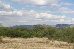10847 S Kings Ranch Rd, Hereford, AZ 85615 - Photo 36