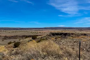 0 Co Rd 4008 (25 Acres) --, Saint Johns, AZ 85936 - Photo 1