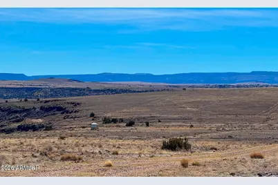 0 Co Rd 4008 (25 Acres) -- #-, Saint Johns, AZ 85936 - Photo 12