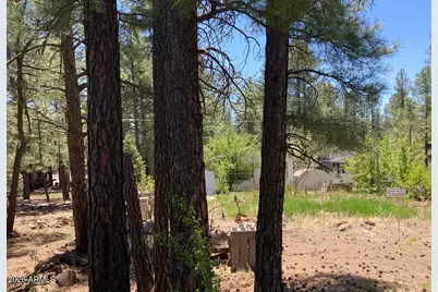 17155 S Iron Springs Road #26, Munds Park, AZ 86017 - Photo 4
