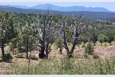 41 & 42 Antelope Trail #41 & 42, Payson, AZ 85541 - Photo 1