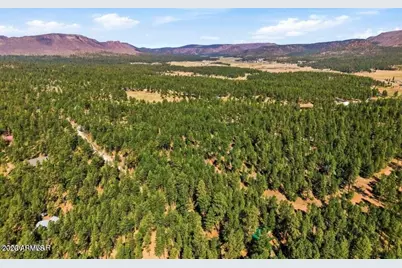 11 County Road 2135 -- #n/a, Alpine, AZ 85920 - Photo 12