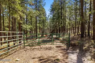 11 County Rd 2135, Alpine, AZ 85920 - Photo 1