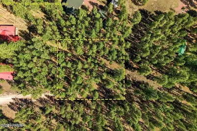 11 County Road 2135 -- #n/a, Alpine, AZ 85920 - Photo 2