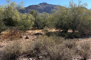 10890 E Cactus View Cir, Gold Canyon, AZ 85118 - Photo 1