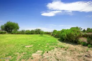 7320 N Citrus Rd, Waddell, AZ 85355 - Photo 50