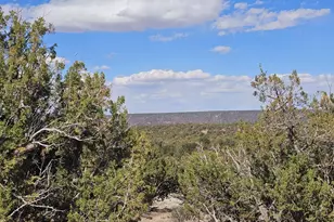 3945 Valley Rd, Snowflake, AZ 85937 - Photo 1
