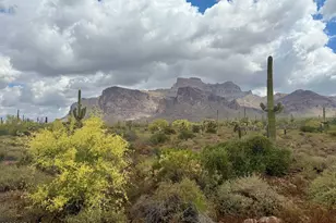 53 N La Barge Rd, Apache Junction, AZ 85119 - Photo 42