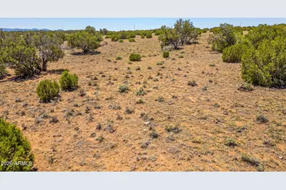 Tbd County Road 8643 -- #188, Concho, AZ 85924 - Photo 8