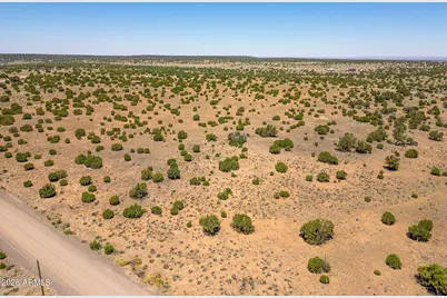 Tbd County Road 8643 -- #188, Concho, AZ 85924 - Photo 10