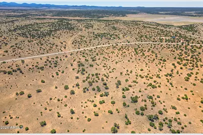 Tbd County Road 8643 -- #188, Concho, AZ 85924 - Photo 1