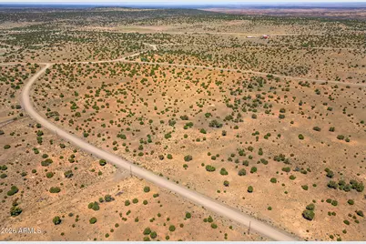Tbd County Road 8643 -- #188, Concho, AZ 85924 - Photo 12