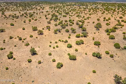 Tbd County Road 8643 -- #188, Concho, AZ 85924 - Photo 6