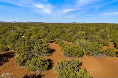 20 Cr N8623 -- #002B, Concho, AZ 85924 - Photo 10