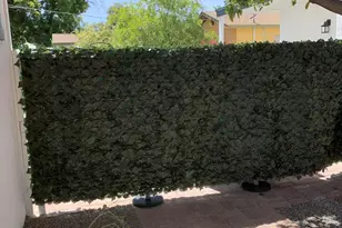 1317 W Glenrosa Ave, Phoenix, AZ 85013 - Photo 8