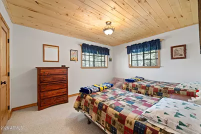 48 N County Road N1068 Street, Greer, AZ 85927 - Photo 24