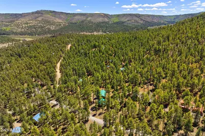 48 N County Road N1068 Street, Greer, AZ 85927 - Photo 32