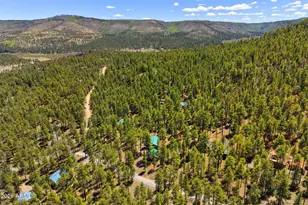 48 N County Road N1068 St, Greer, AZ 85927 - Photo 32