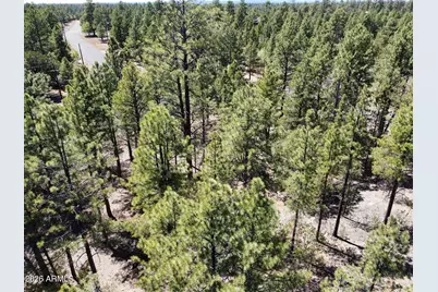 4450 Blackfoot Circle #415, Happy Jack, AZ 86024 - Photo 2