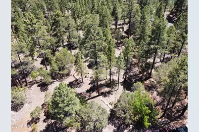 4450 Blackfoot Circle #415, Happy Jack, AZ 86024 - Photo 8