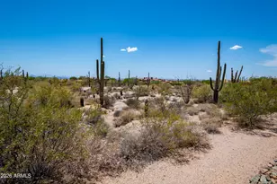 28132 N 91st St, Scottsdale, AZ 85262 - Photo 12