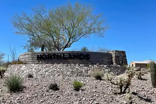 26880 N 99th Dr, Peoria, AZ 85383 - Photo 18