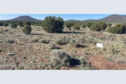 7775 Tulip Trail #3, Williams, AZ 86046 - Photo 2