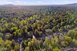 5330 Branding Iron Loop, Pinetop, AZ 85935 - Photo 44