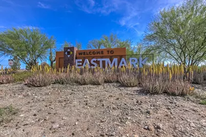 9810 E Resistance Avenue, Mesa, AZ 85212 - Photo 64